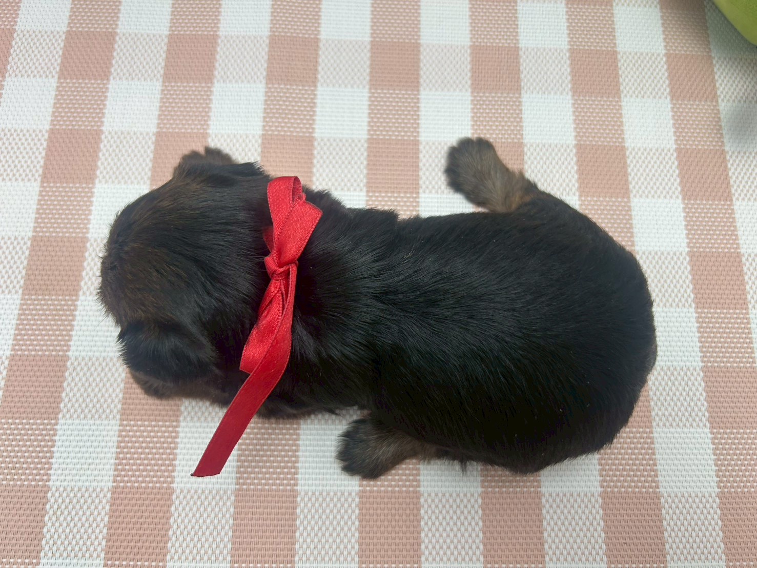 赤ちゃん写真2-3