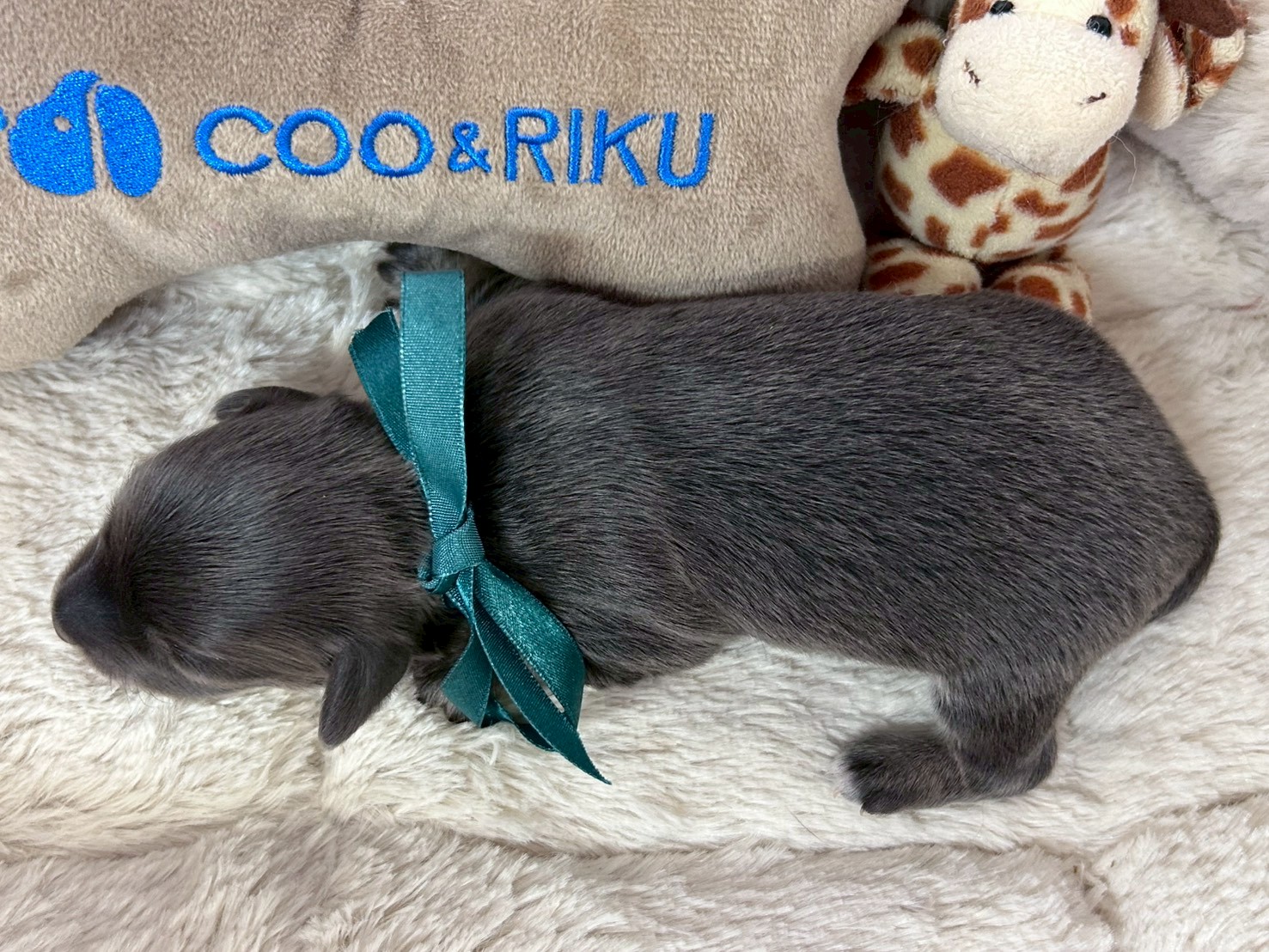 赤ちゃん写真1-3