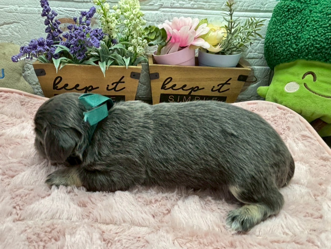 赤ちゃん写真2-2