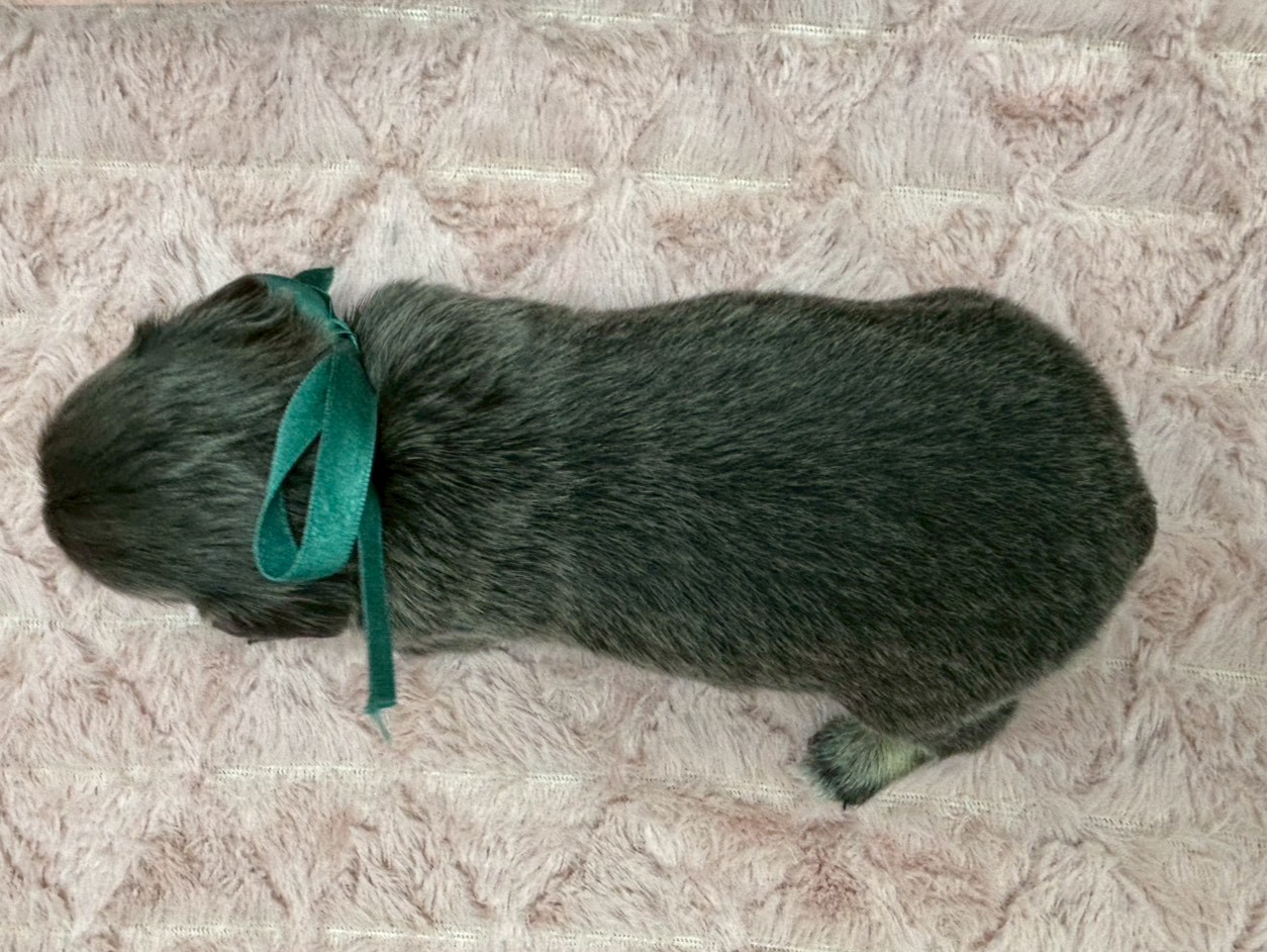 赤ちゃん写真2-3