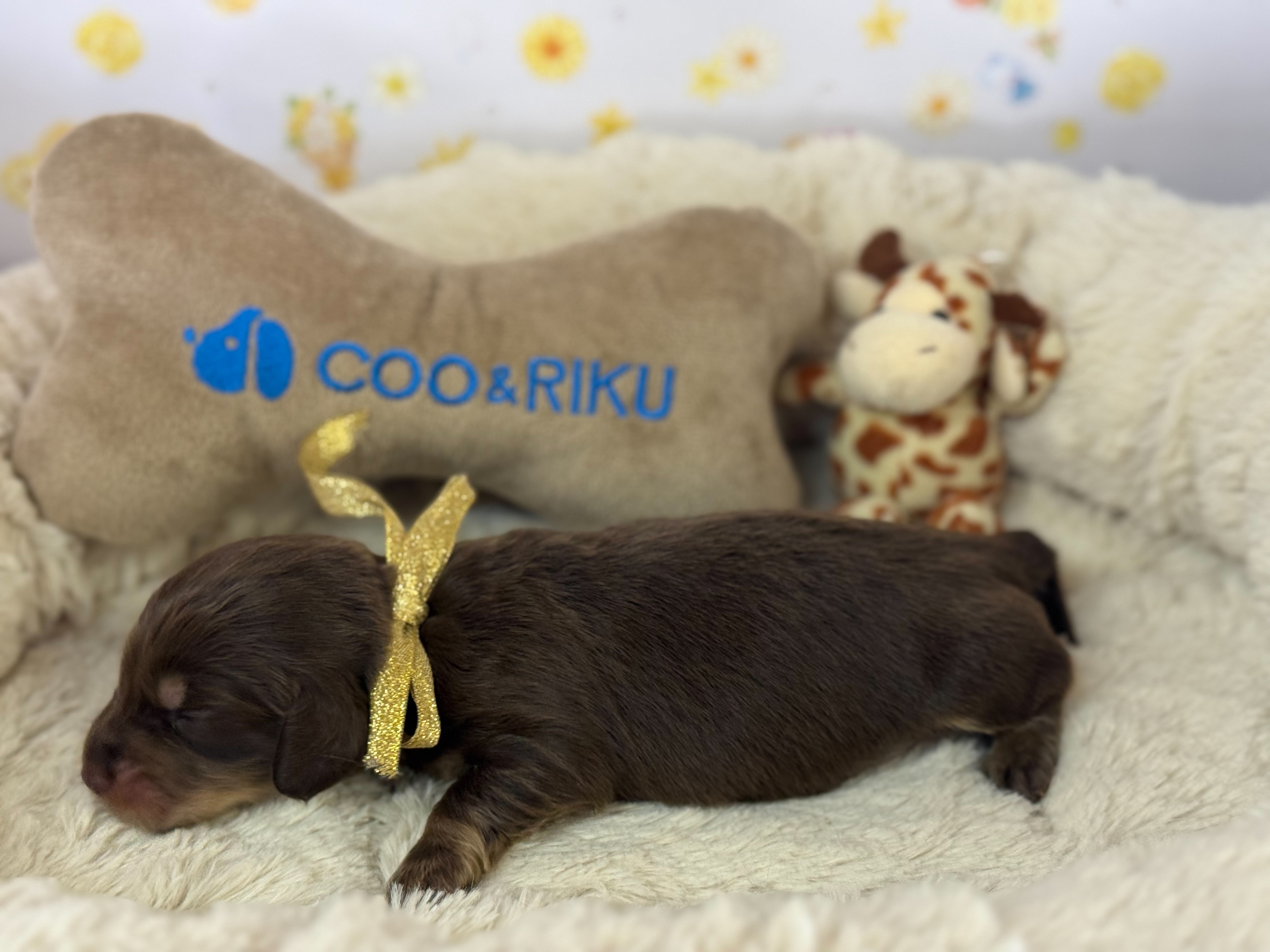赤ちゃん写真1-2