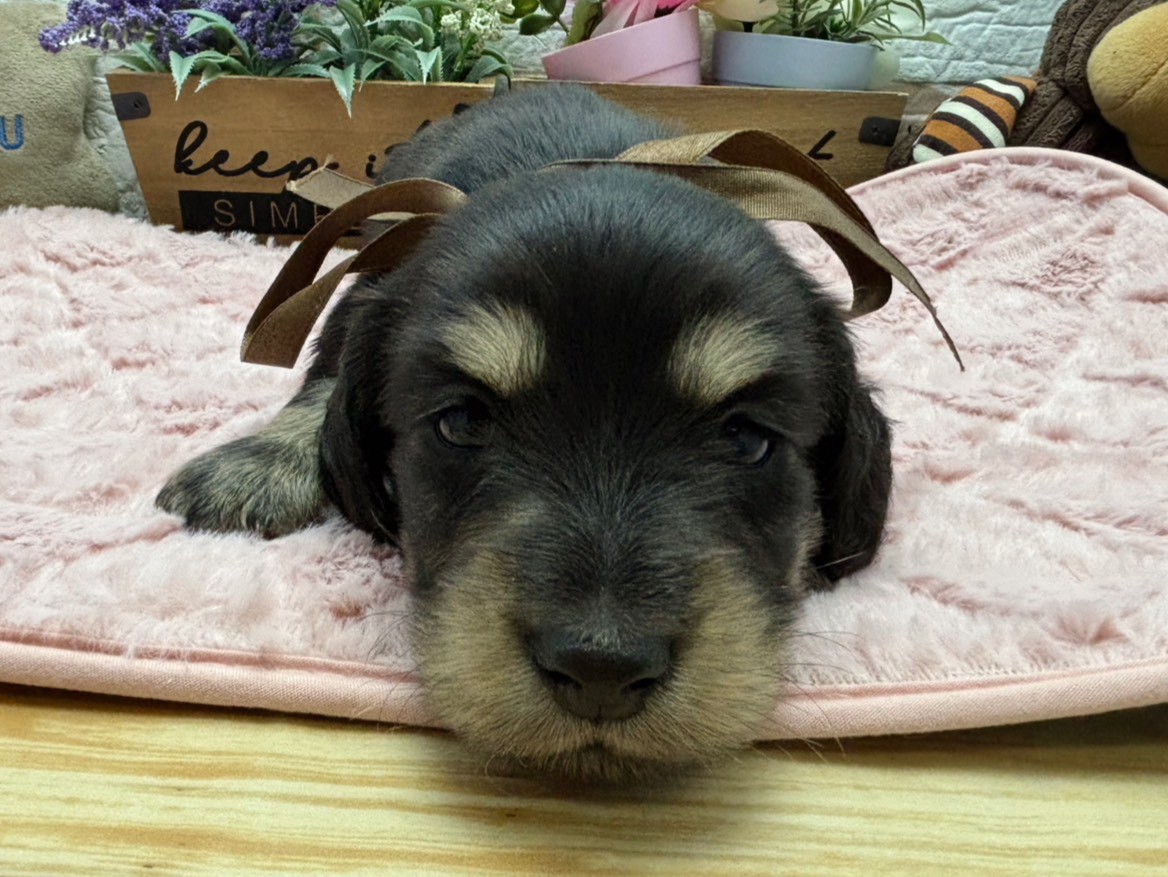 赤ちゃん写真2-1