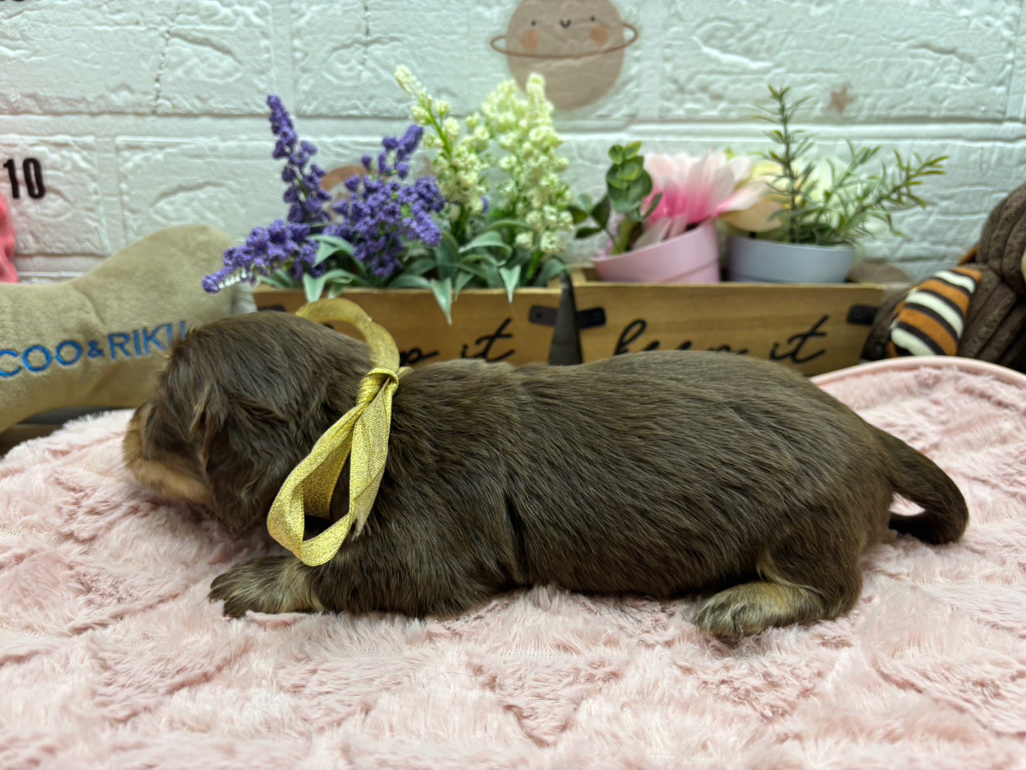 赤ちゃん写真2-2