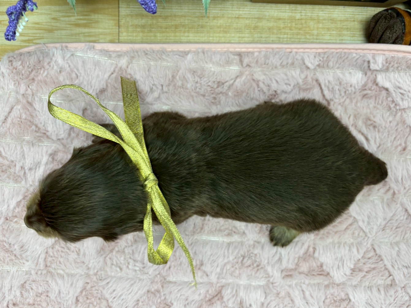 赤ちゃん写真2-3