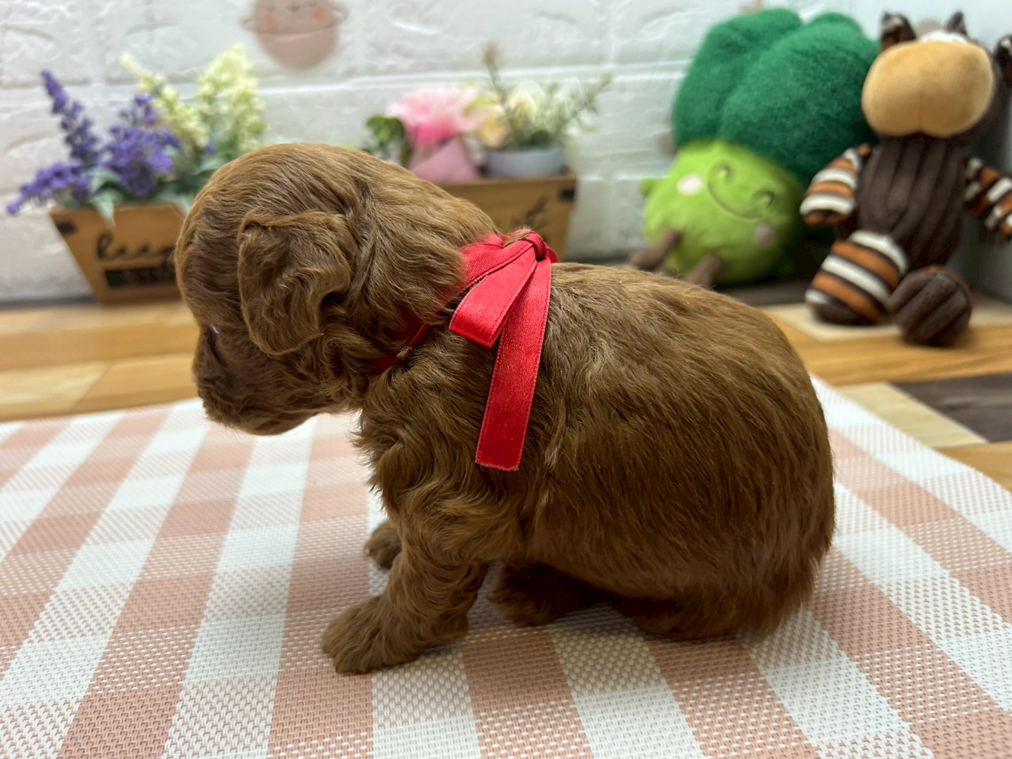 赤ちゃん写真2-2
