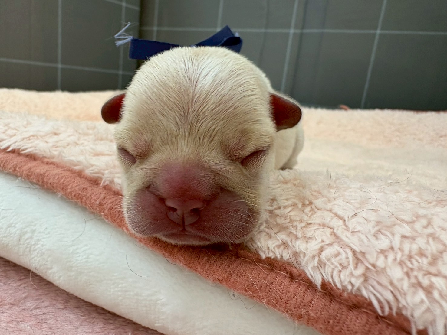 赤ちゃん写真1-1
