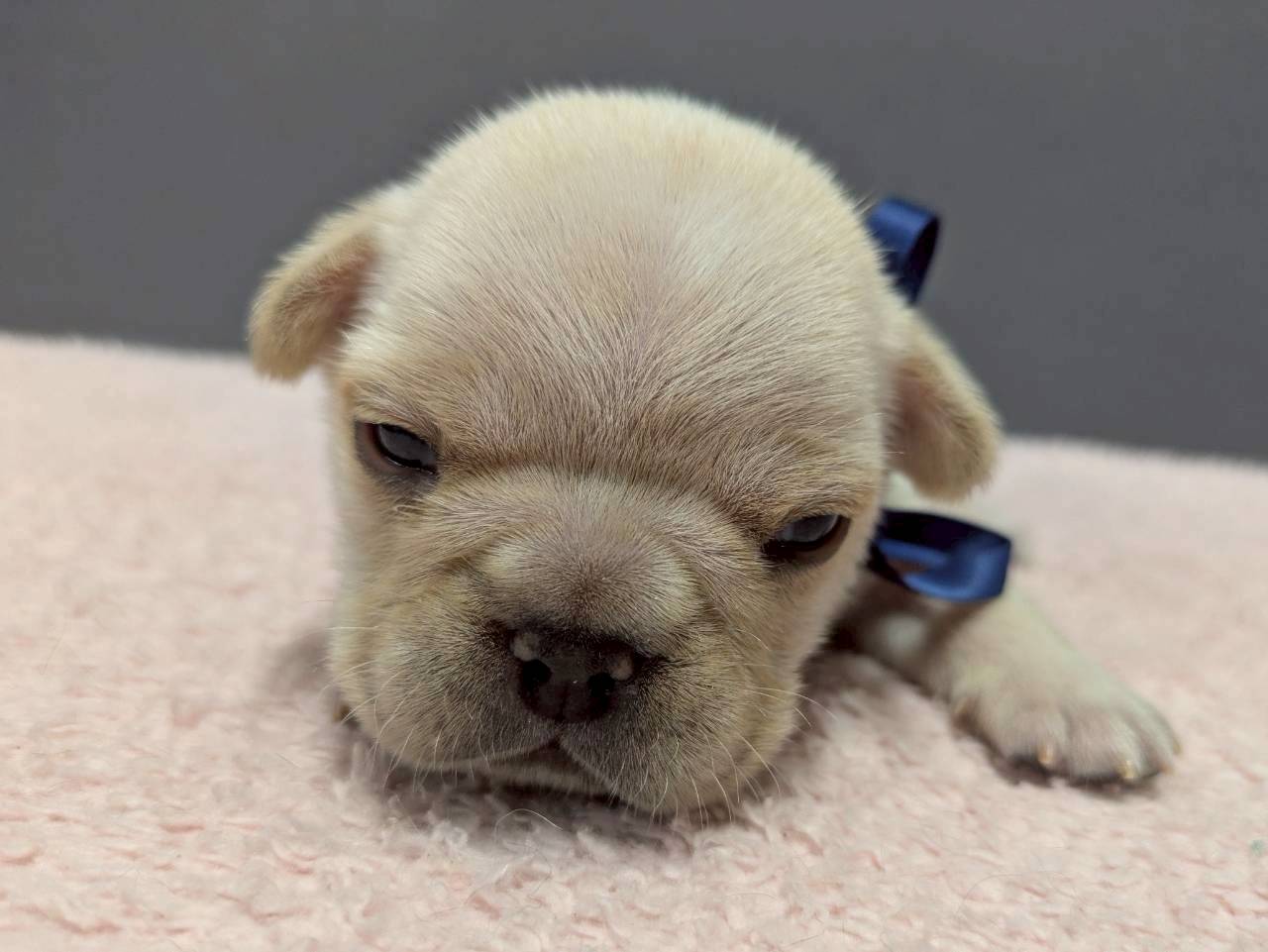 赤ちゃん写真2-1