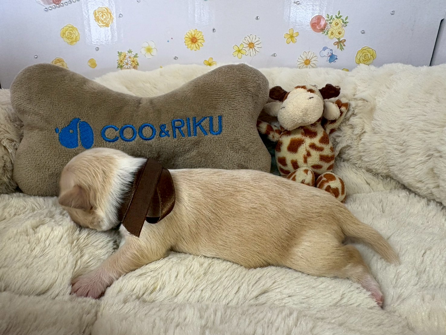 赤ちゃん写真1-2