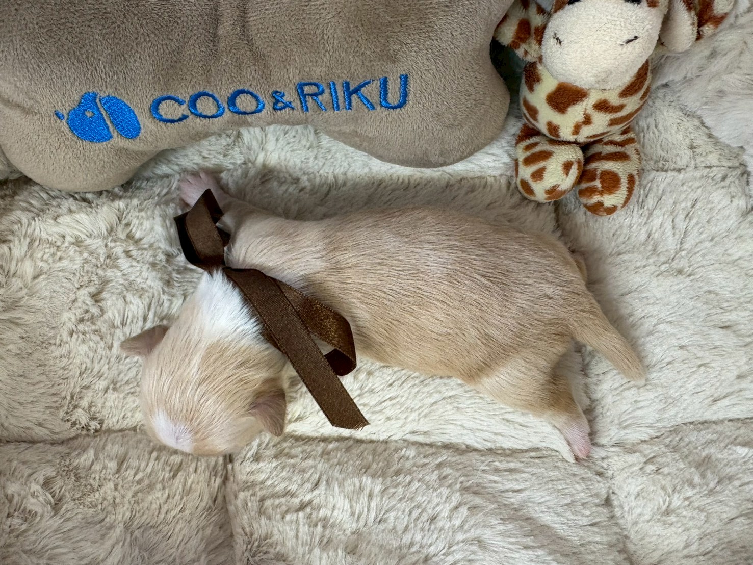 赤ちゃん写真1-3