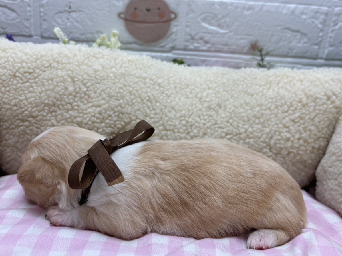 赤ちゃん写真2-2