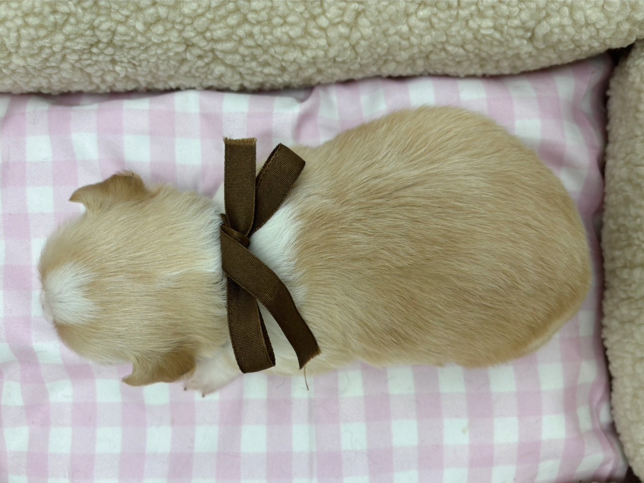 赤ちゃん写真2-3