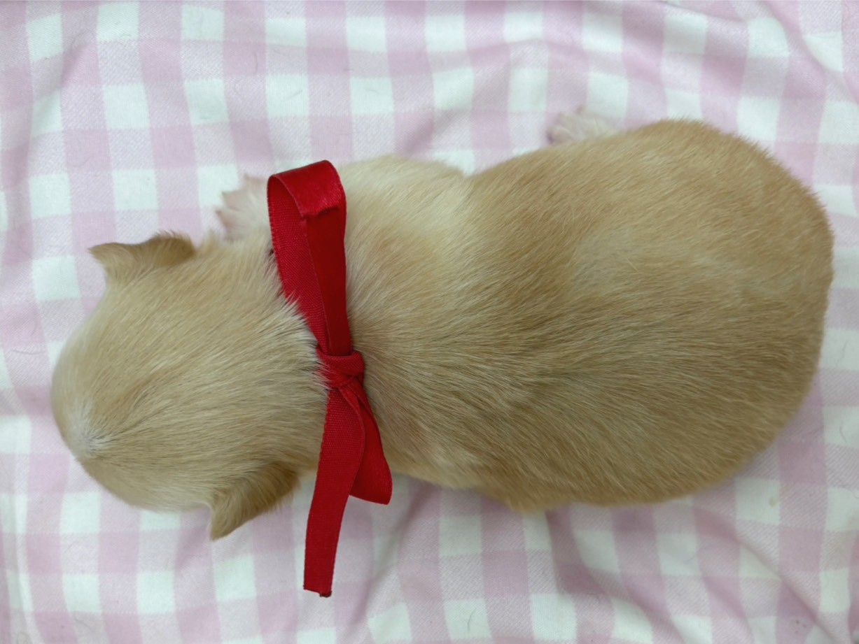 赤ちゃん写真2-3