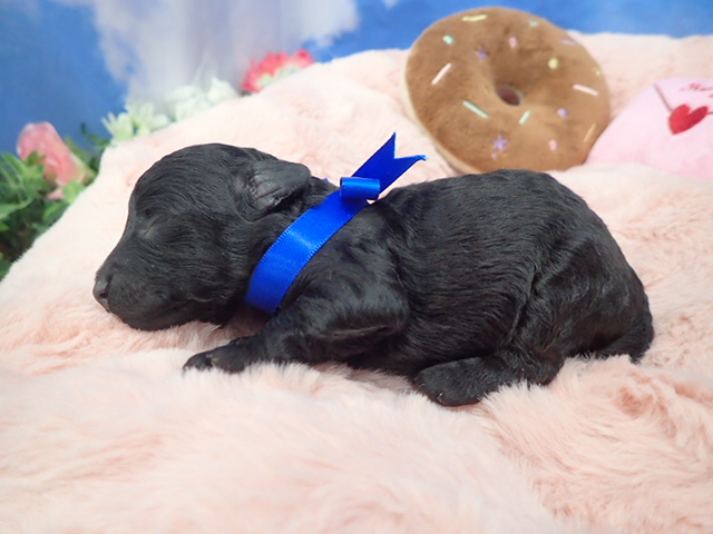 赤ちゃん写真1-2