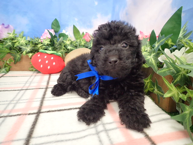 赤ちゃん写真3-1