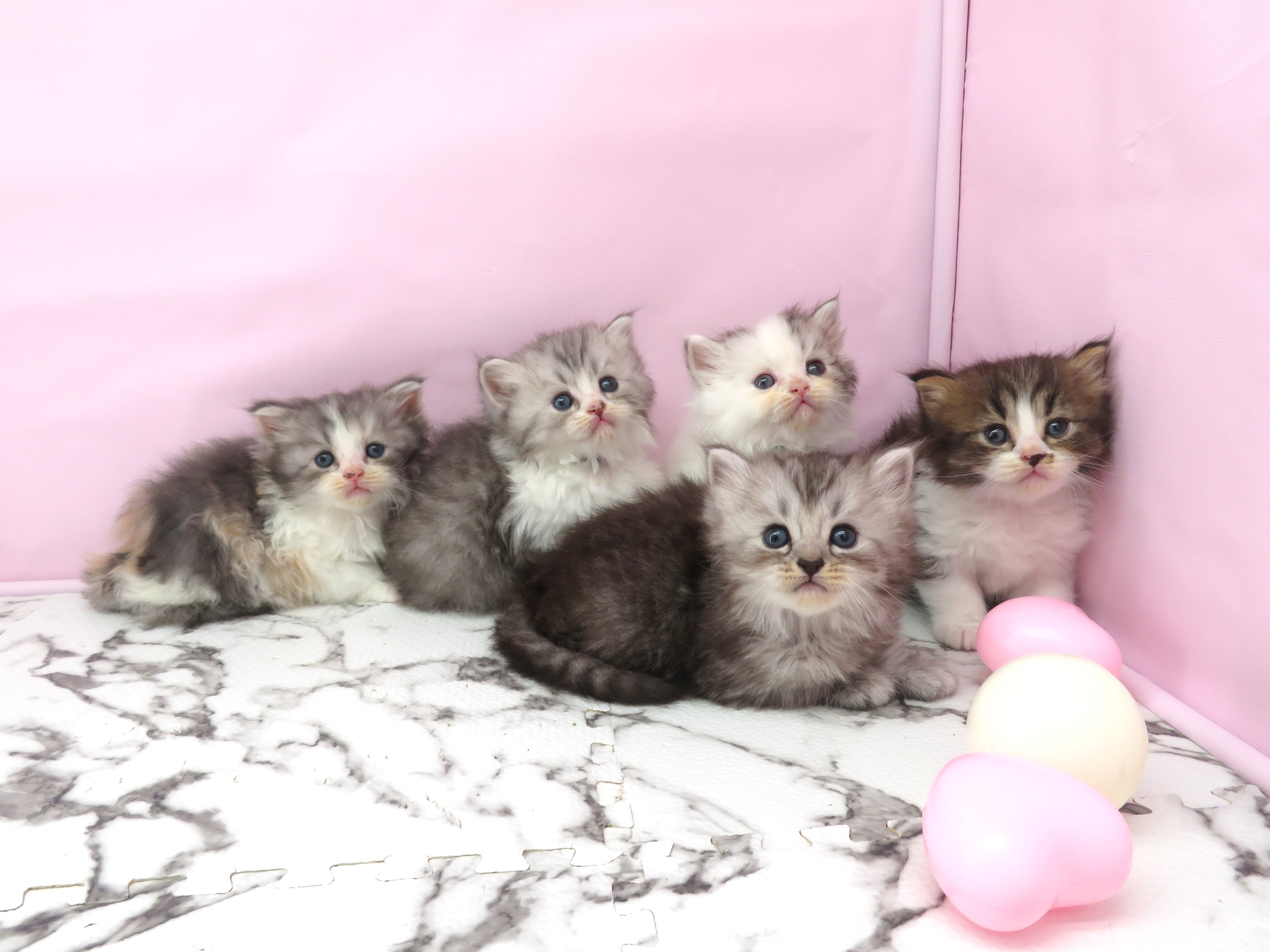 赤ちゃん写真2-3