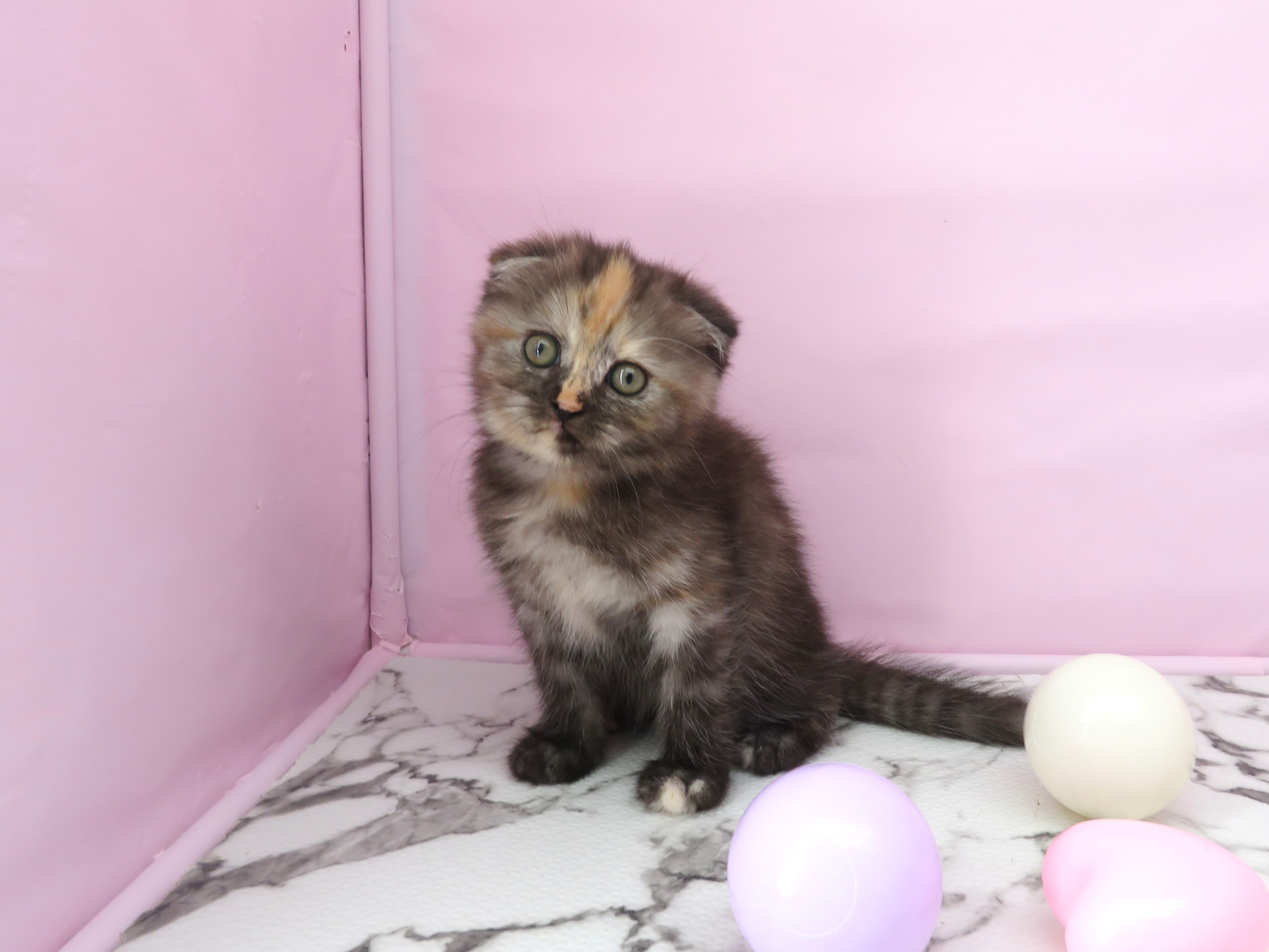 赤ちゃん写真3-1