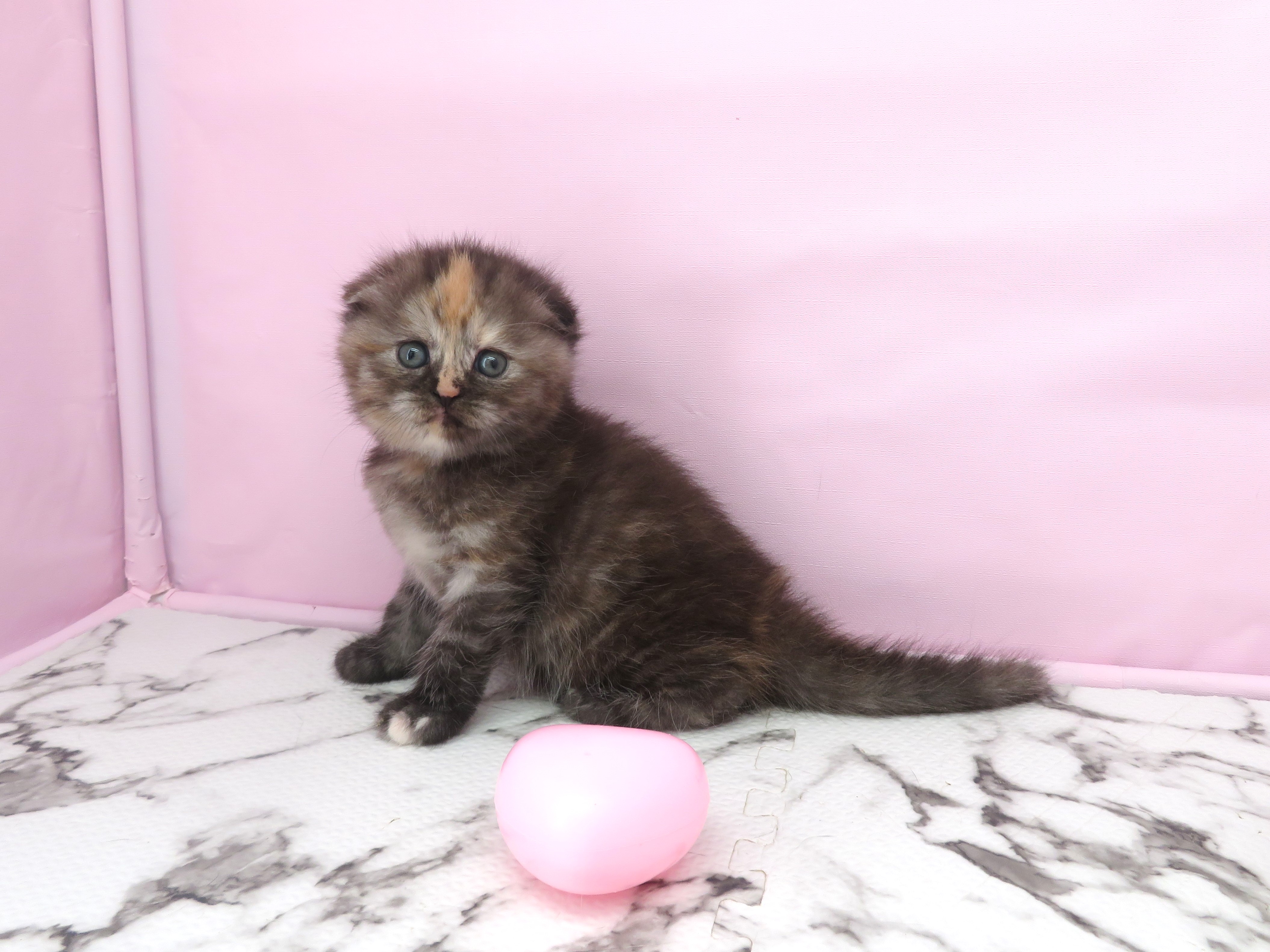 赤ちゃん写真2-3