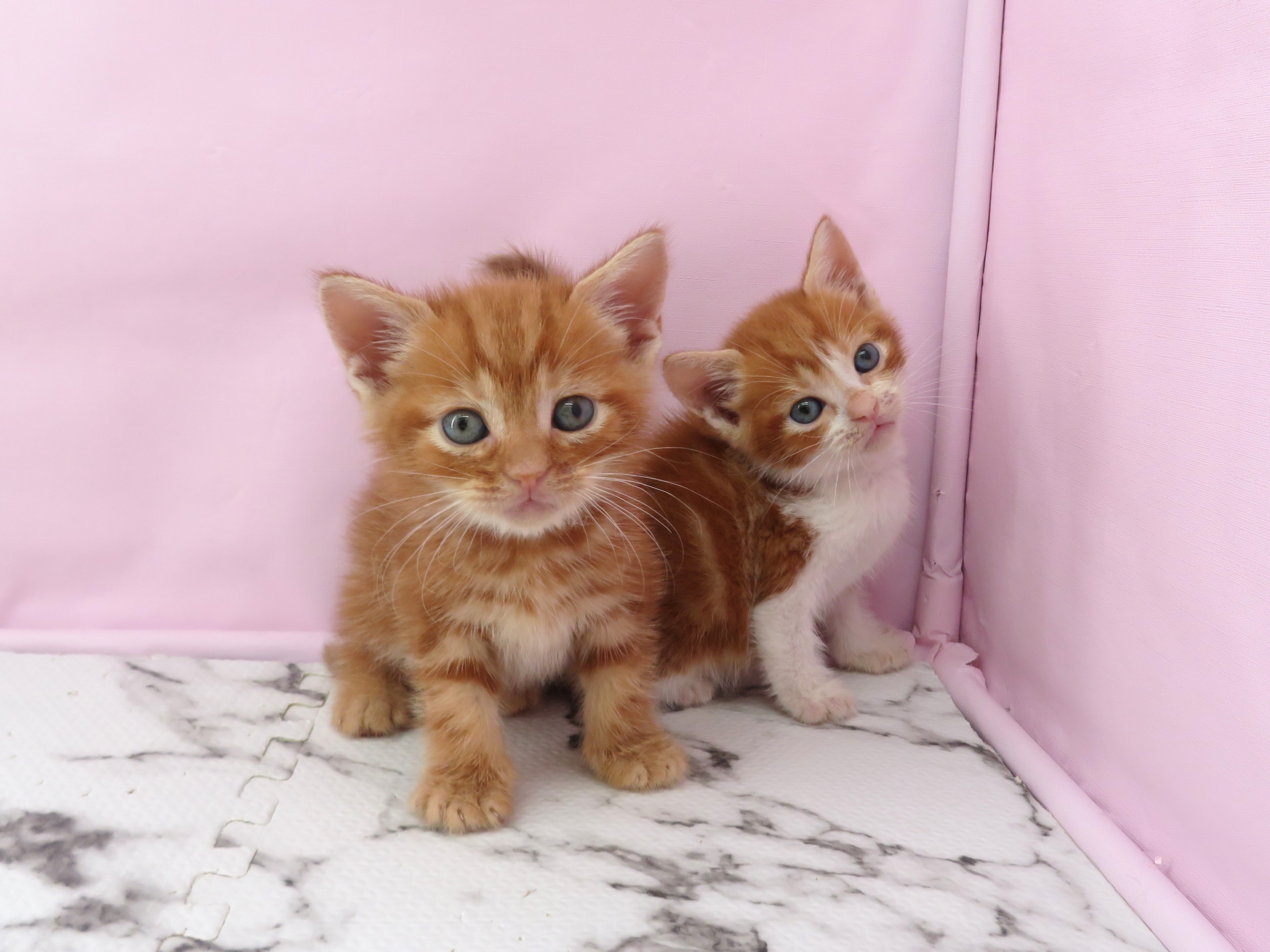 赤ちゃん写真2-3