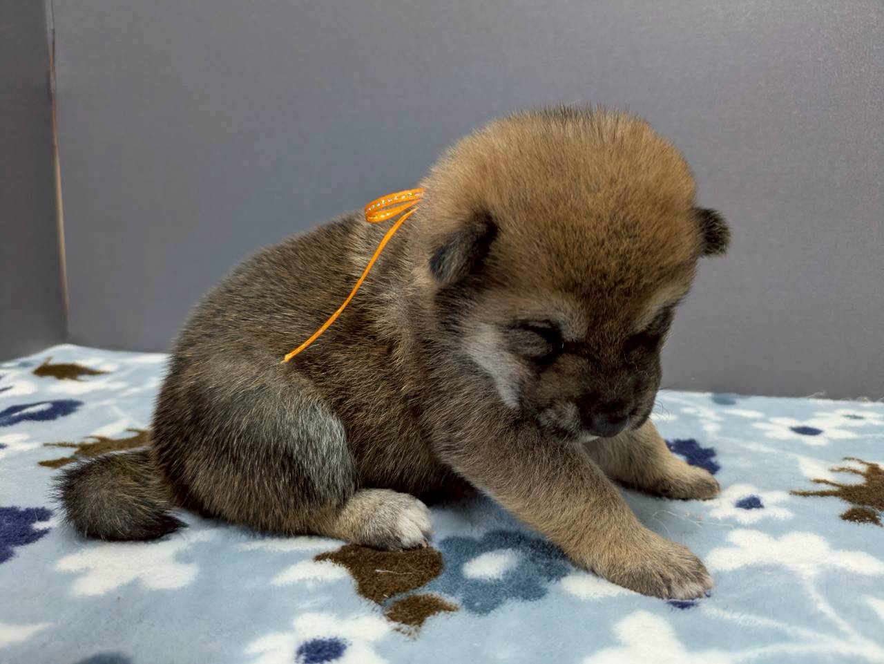 赤ちゃん写真2-2