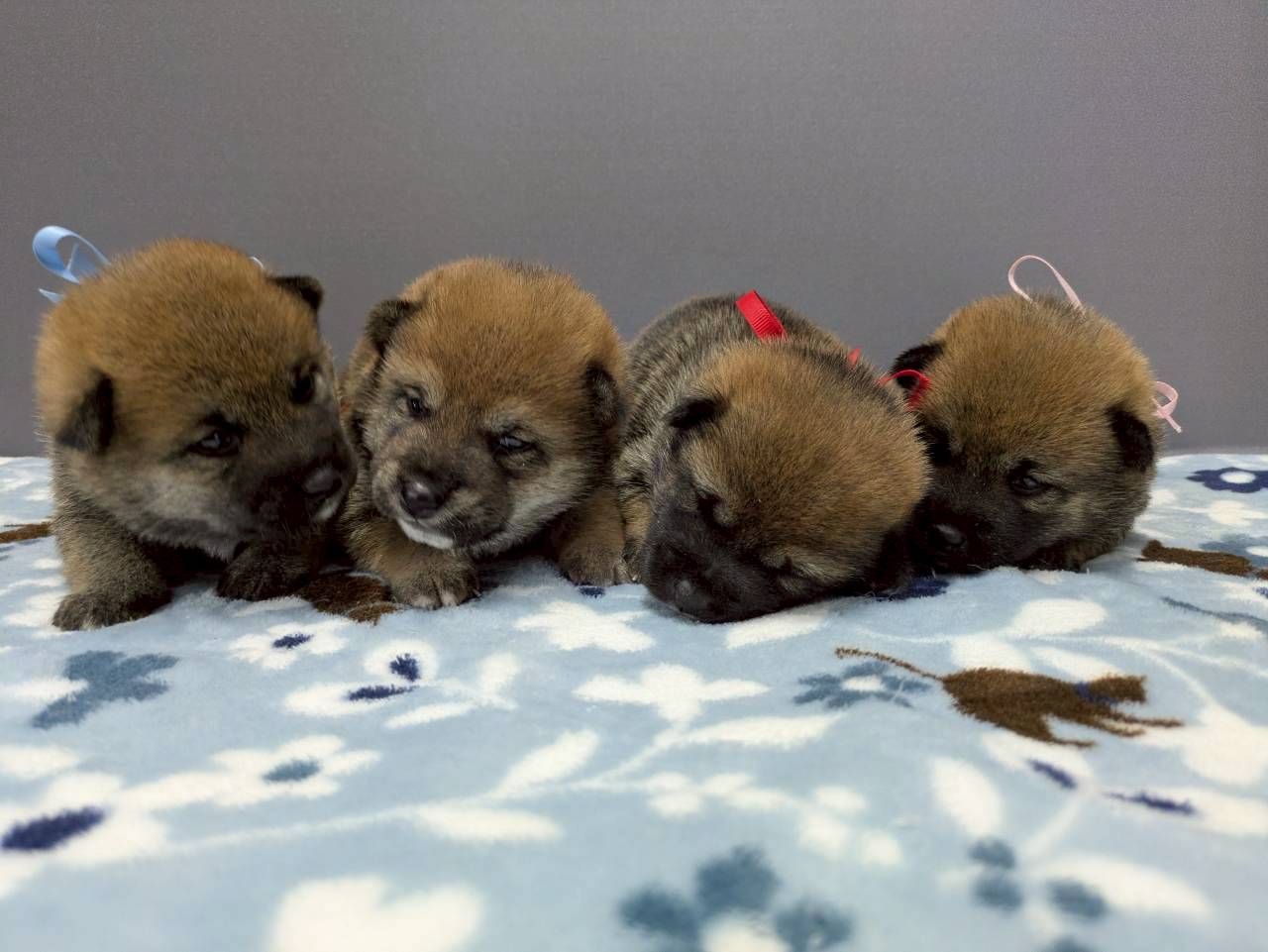赤ちゃん写真2-3