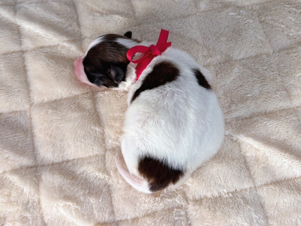 赤ちゃん写真1-3