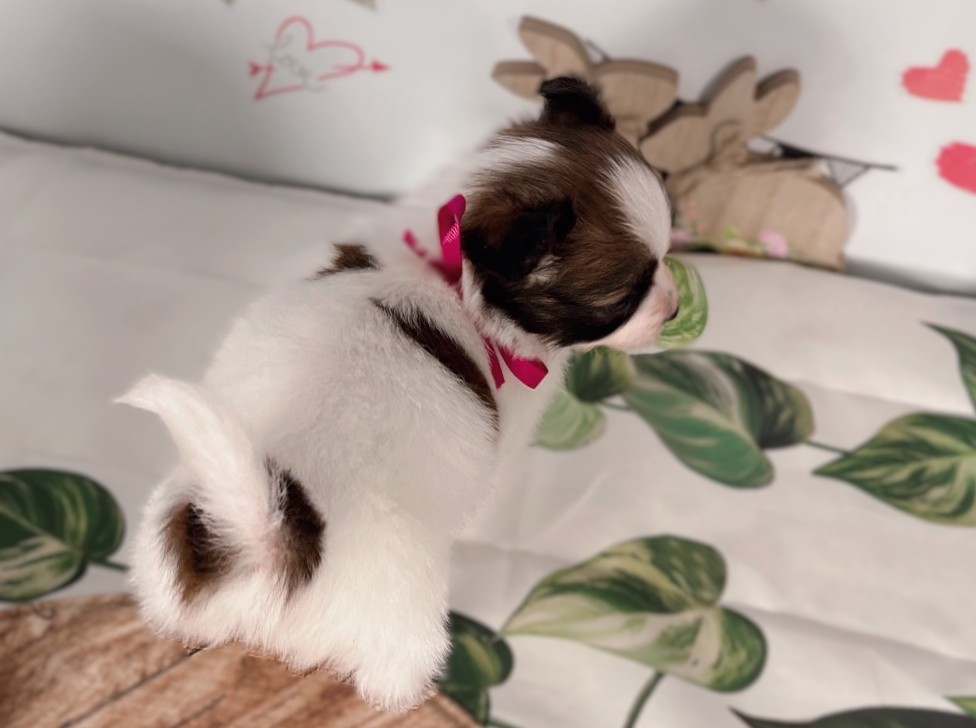 赤ちゃん写真2-3
