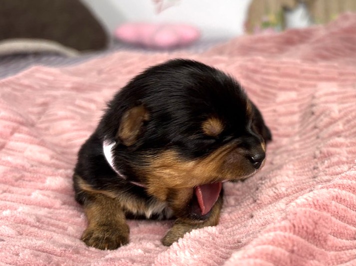 赤ちゃん写真1-1