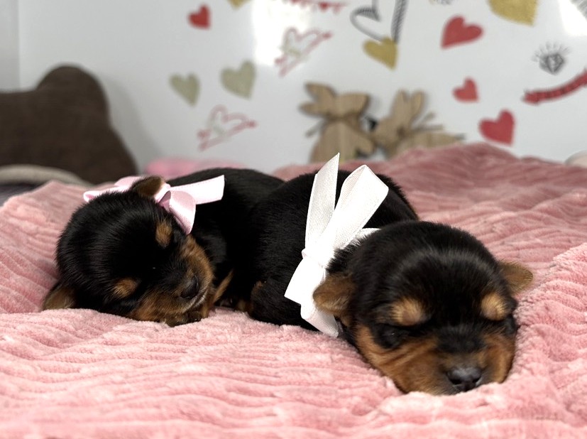 赤ちゃん写真1-3