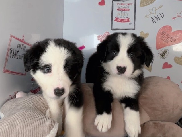 赤ちゃん写真2-3