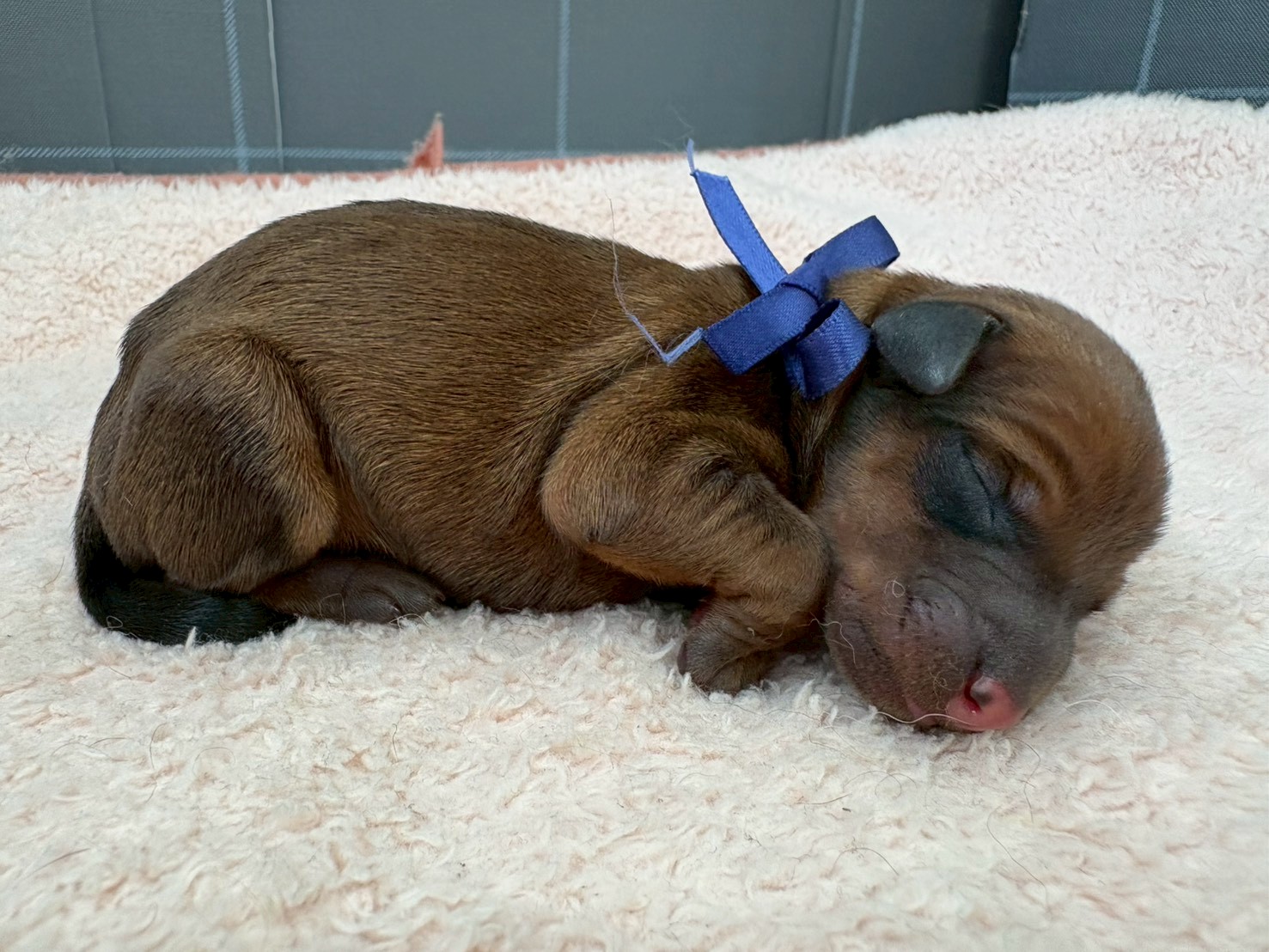 赤ちゃん写真1-2