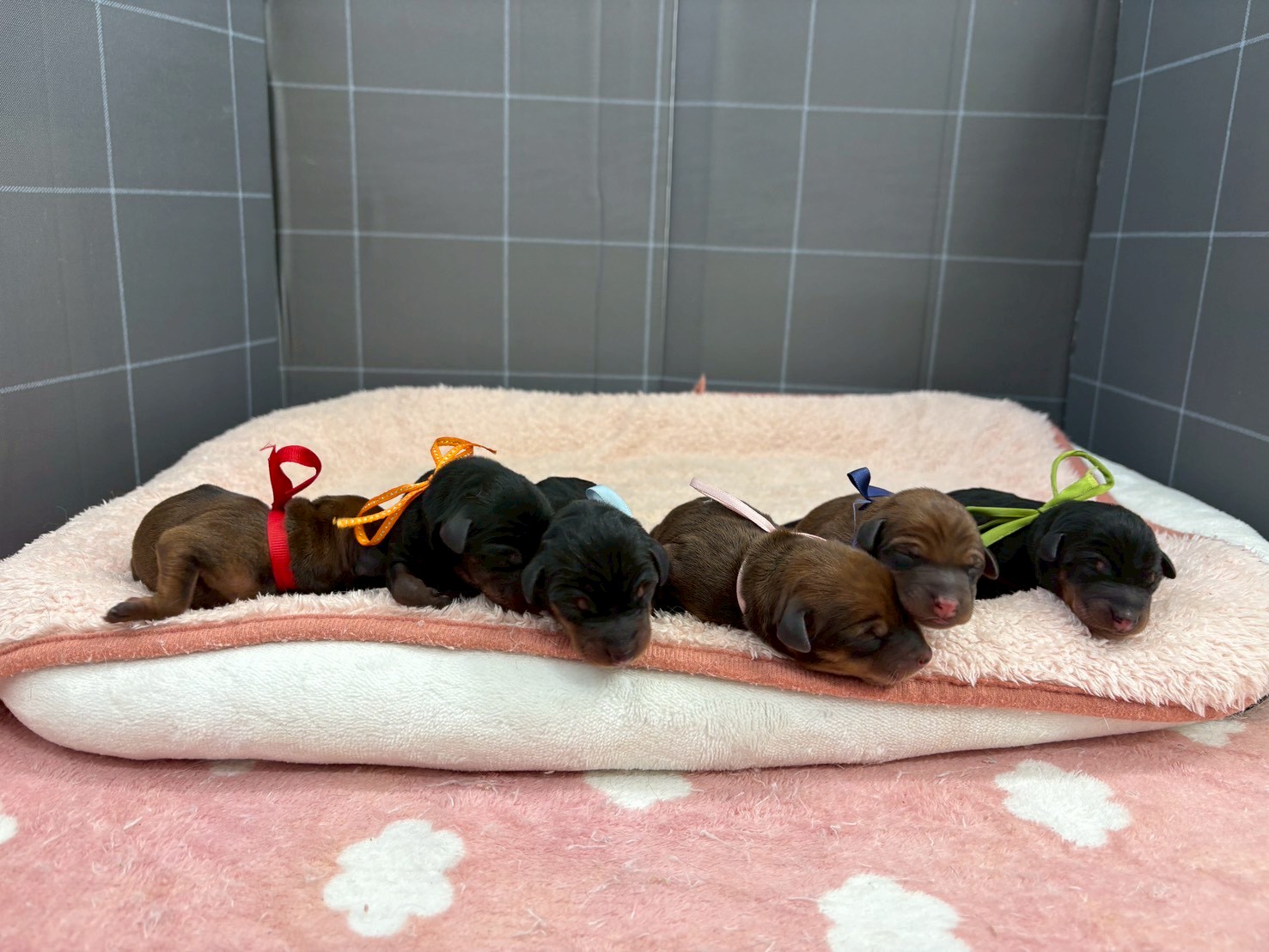 赤ちゃん写真1-3