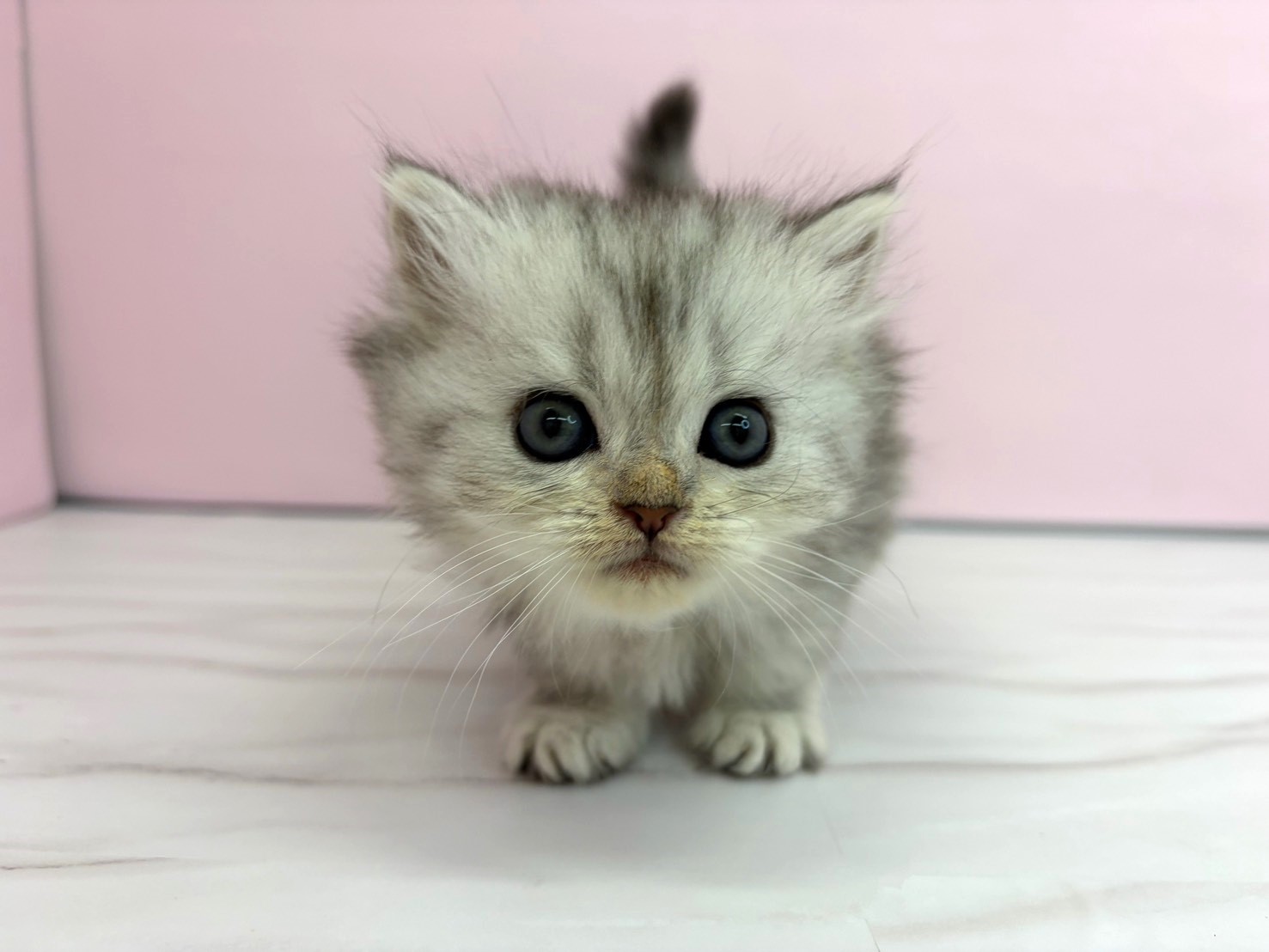 赤ちゃん写真2-1