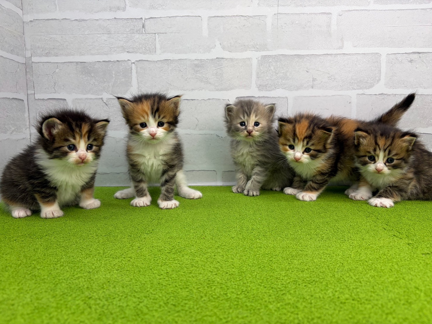 赤ちゃん写真2-3