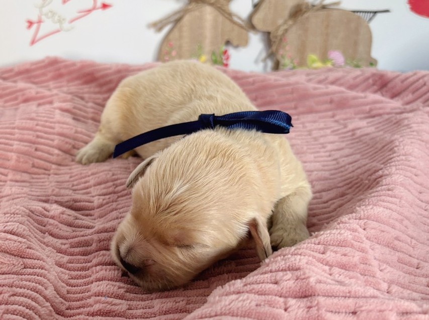 赤ちゃん写真1-1