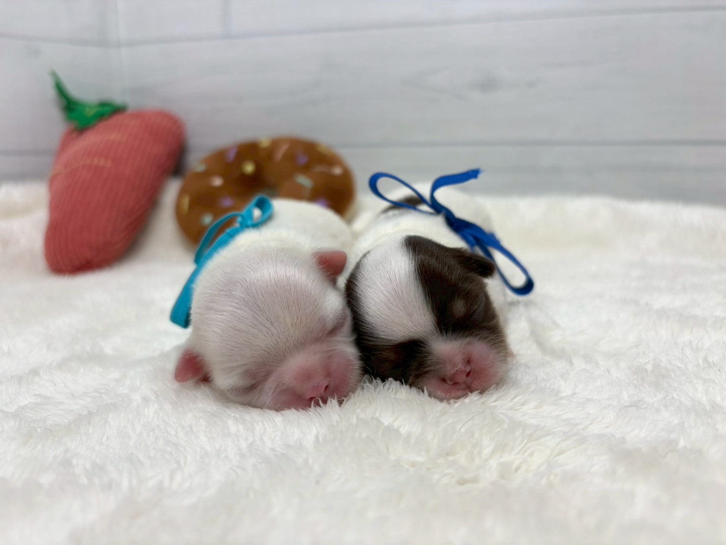赤ちゃん写真1-3