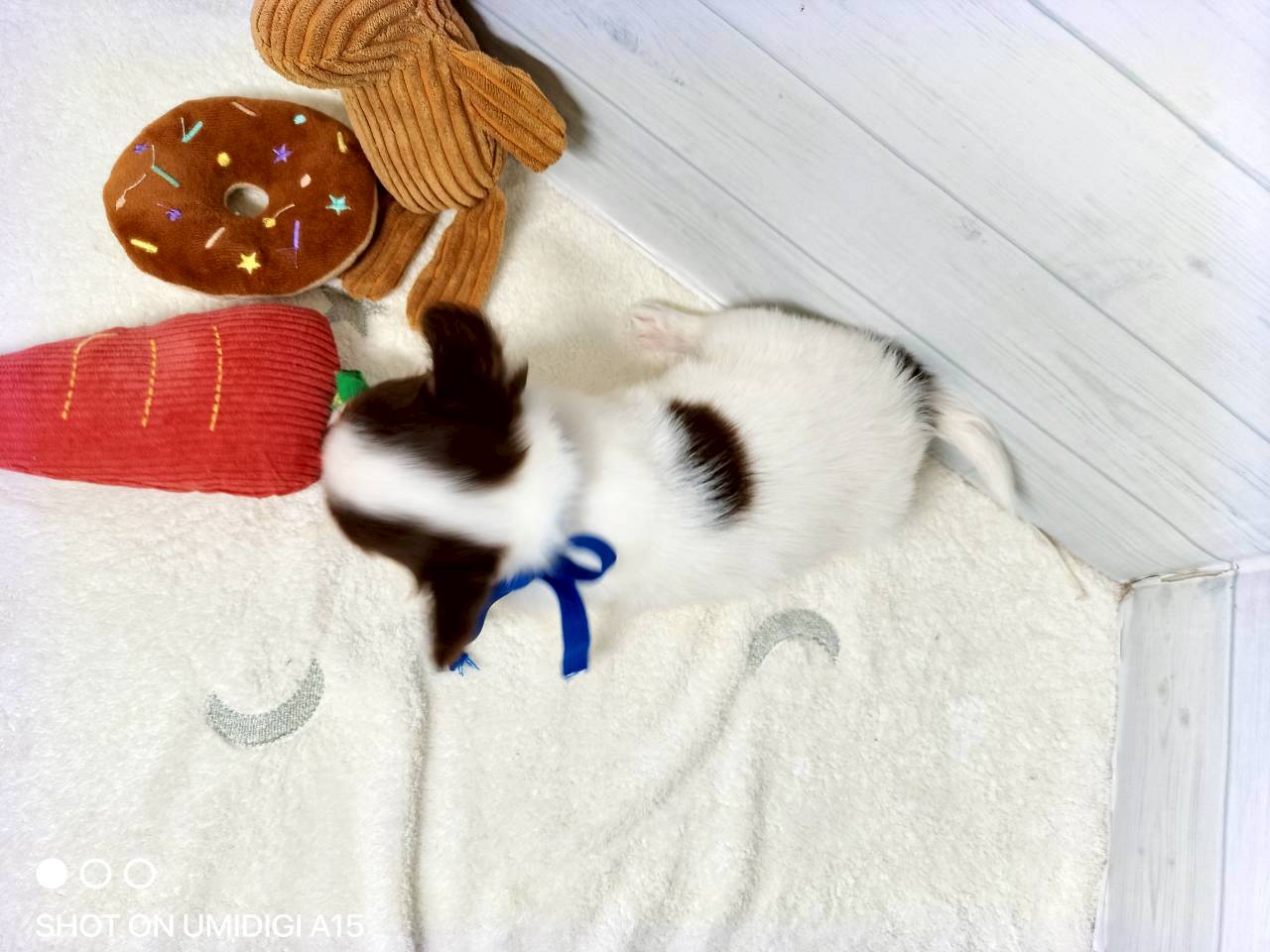 赤ちゃん写真3-3