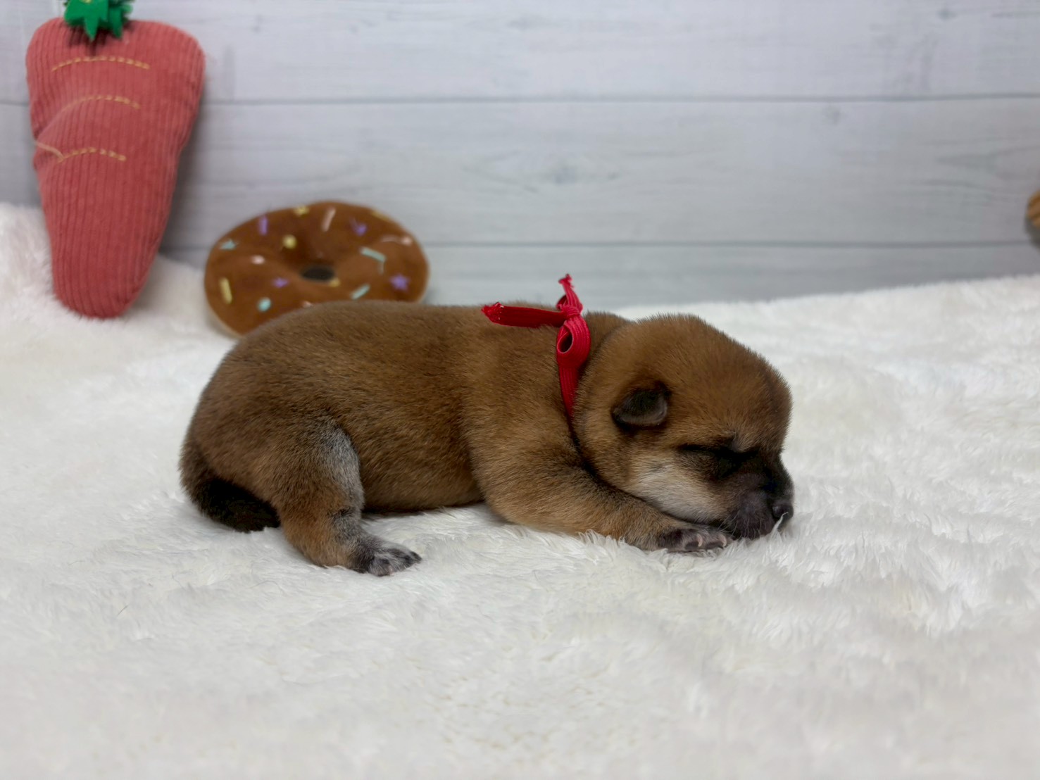 赤ちゃん写真1-2