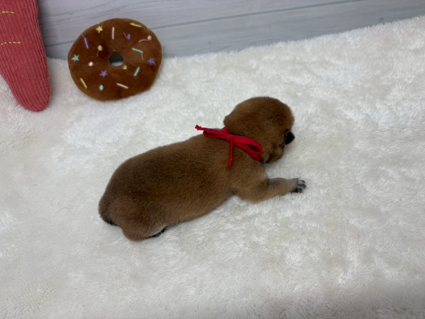 赤ちゃん写真1-3