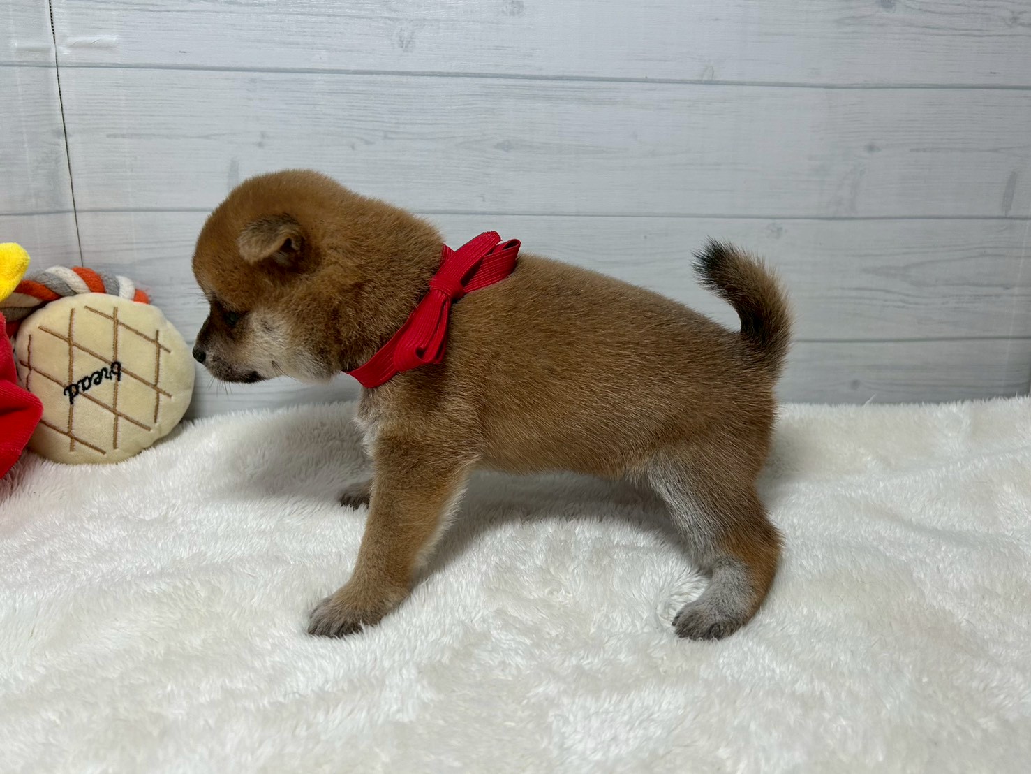 赤ちゃん写真2-2