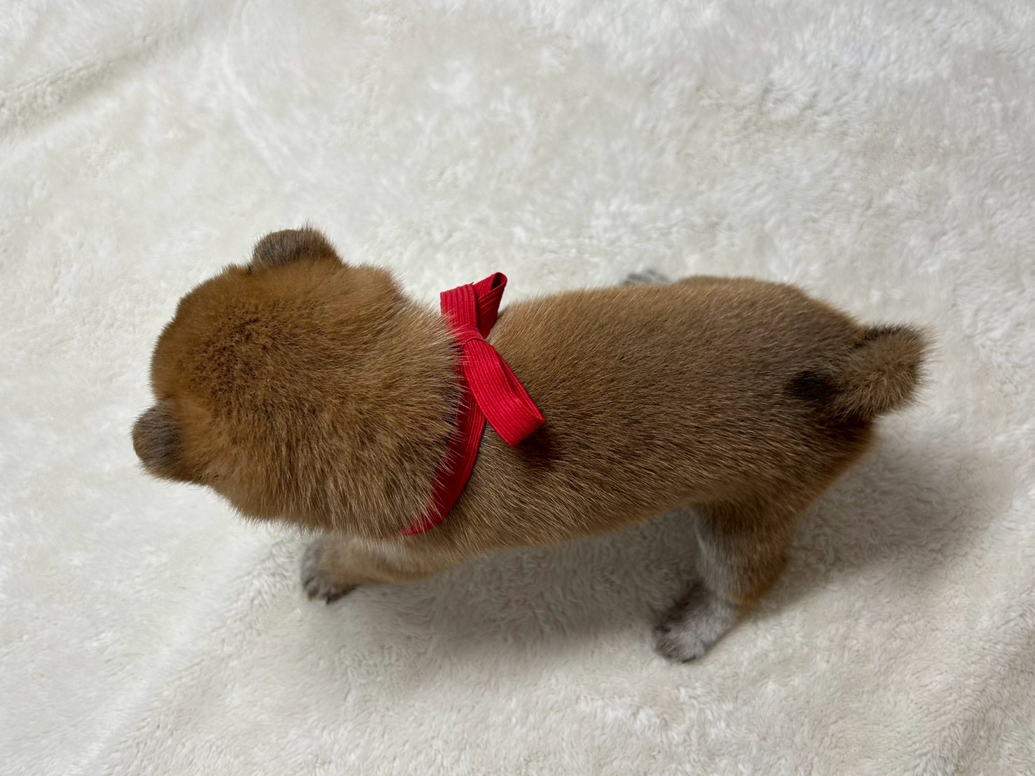赤ちゃん写真2-3