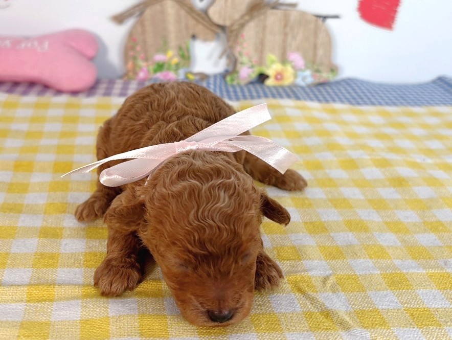 赤ちゃん写真1-1