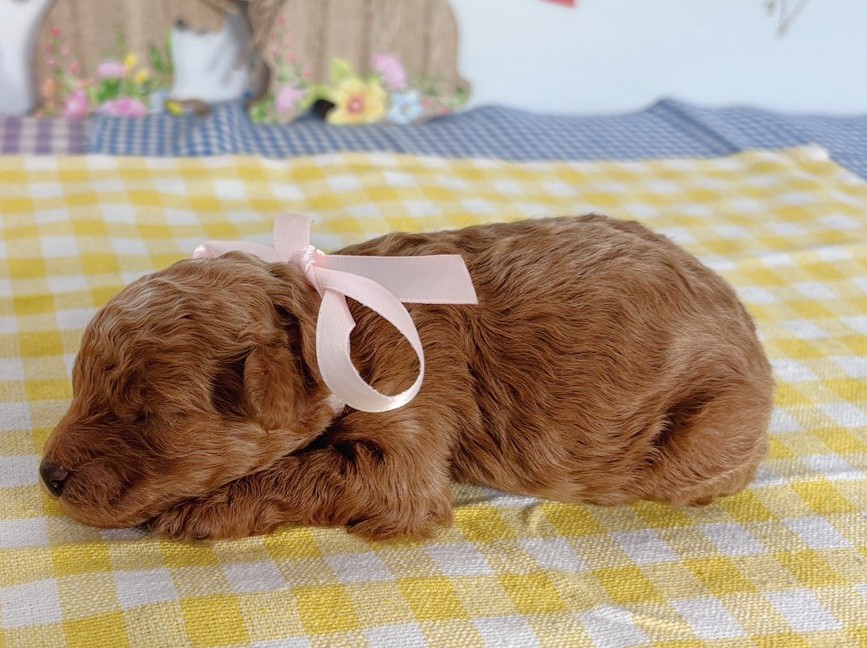 赤ちゃん写真1-2
