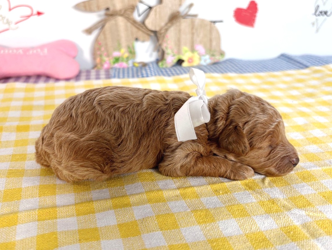 赤ちゃん写真1-2