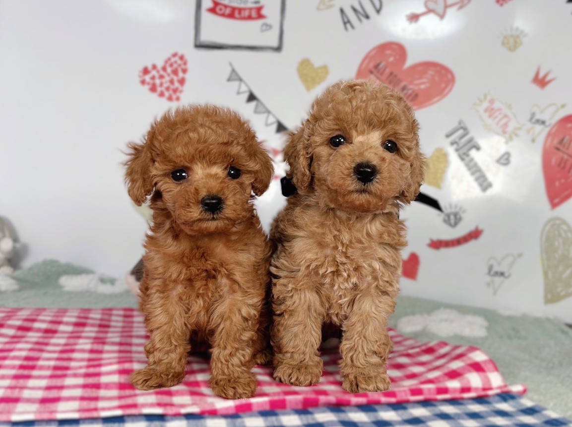 赤ちゃん写真2-3
