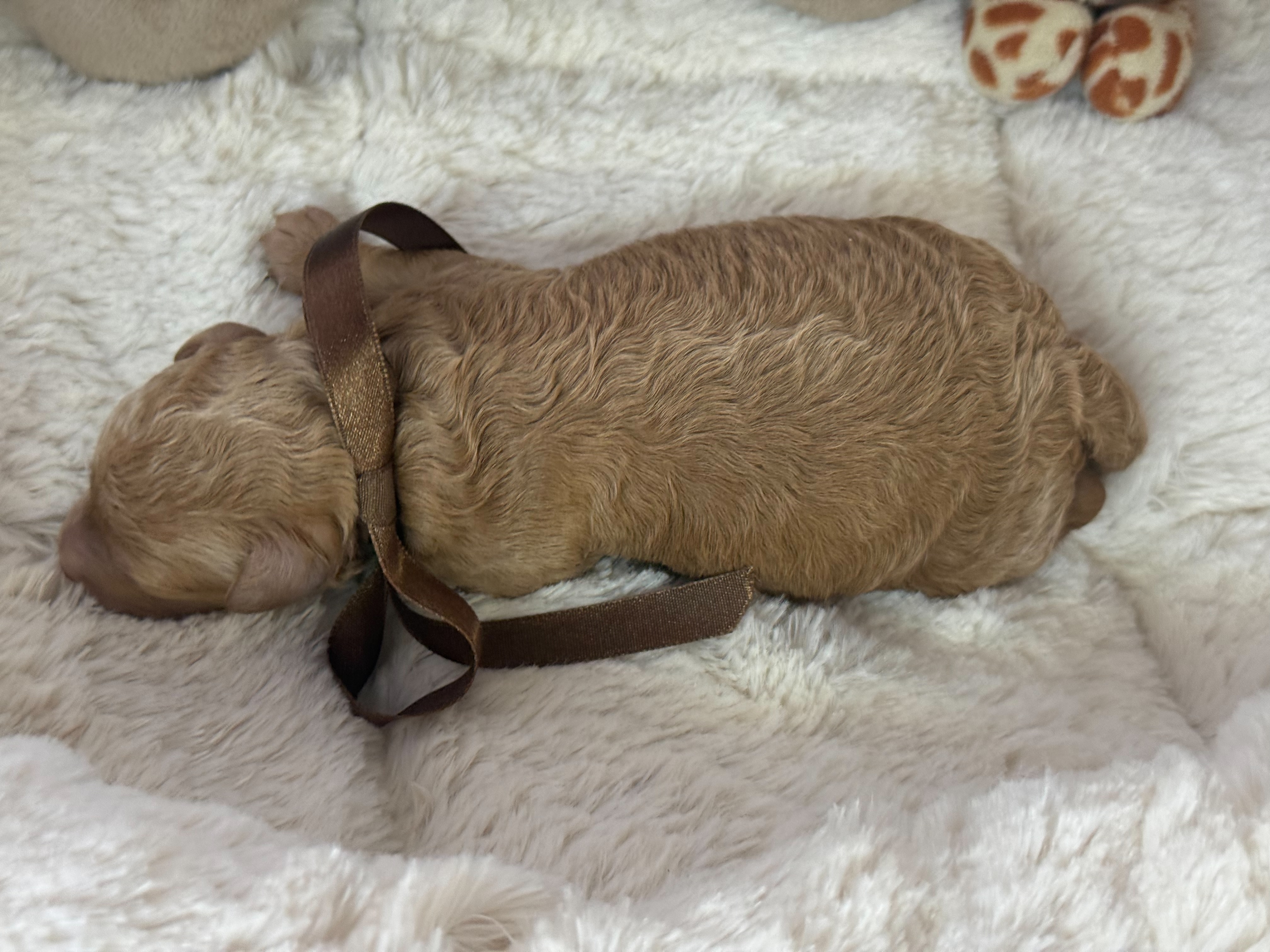 赤ちゃん写真1-3