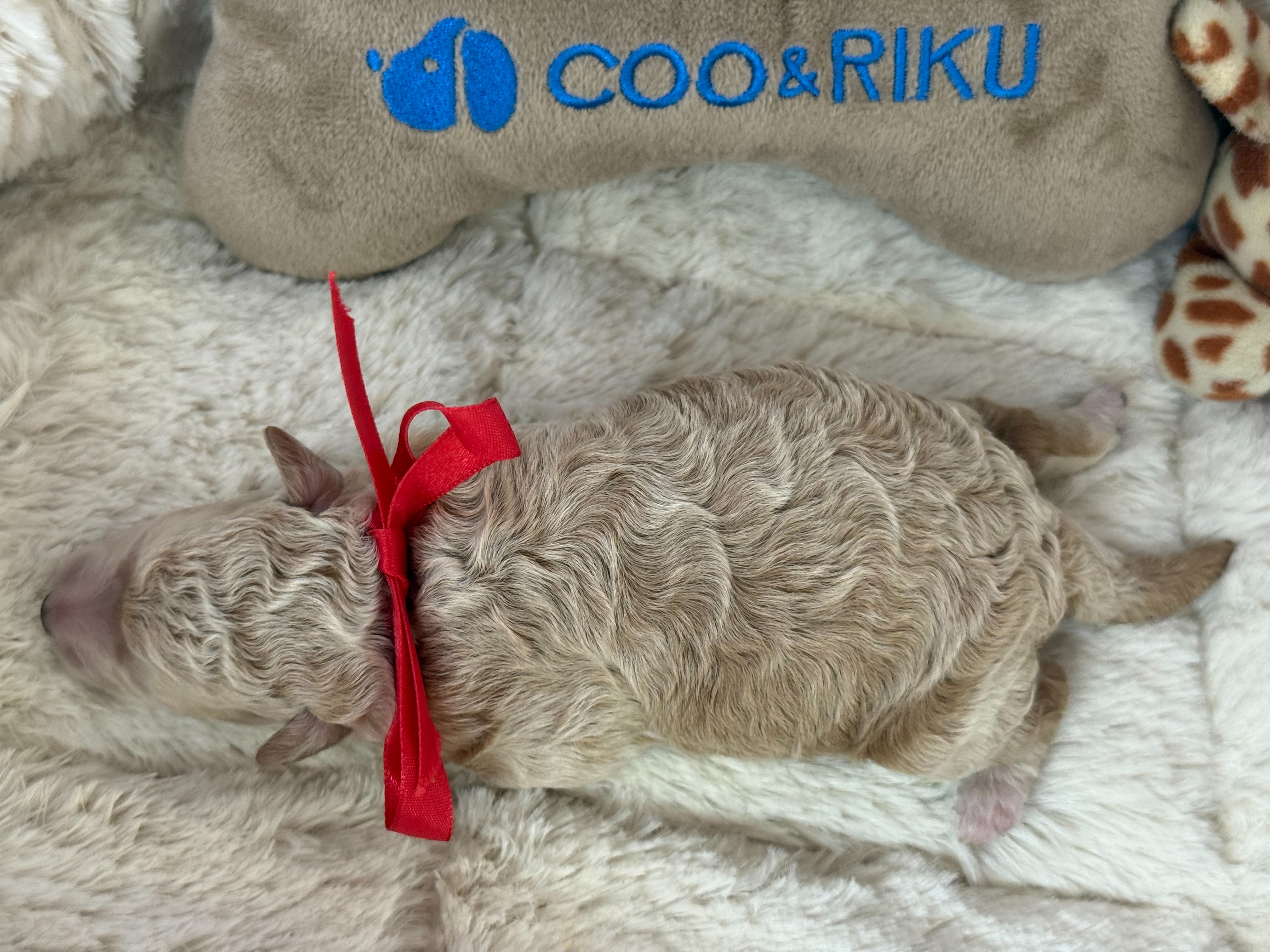 赤ちゃん写真1-3