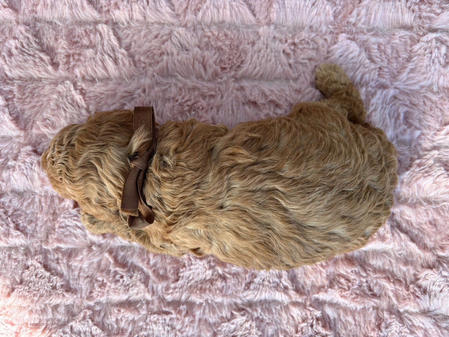 赤ちゃん写真2-3