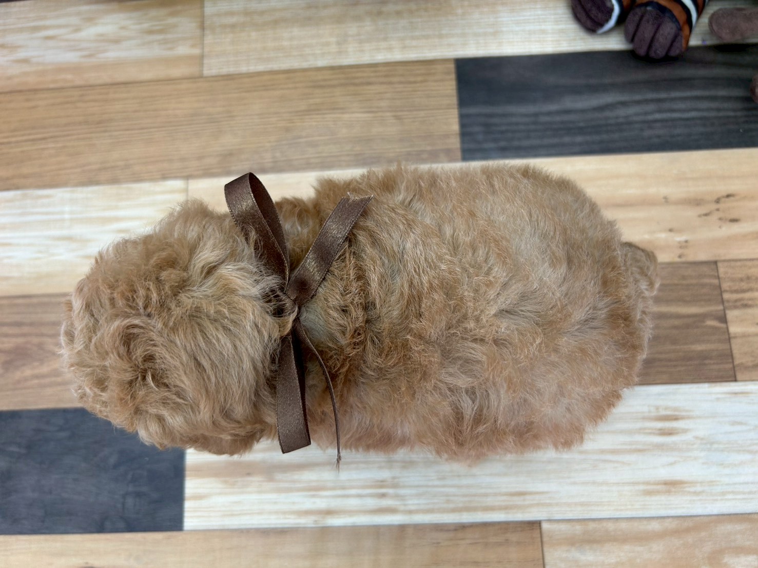赤ちゃん写真3-3