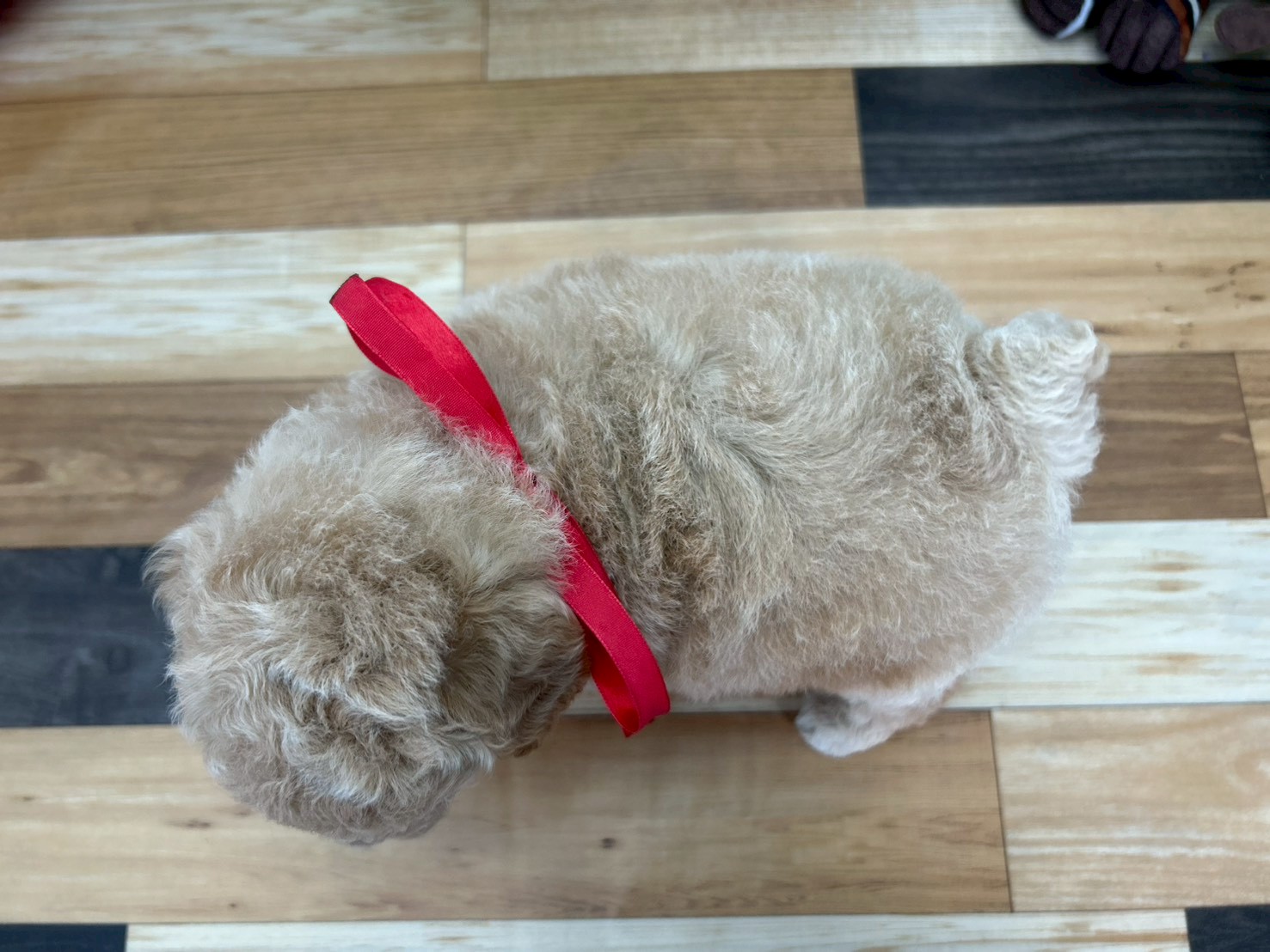 赤ちゃん写真3-3