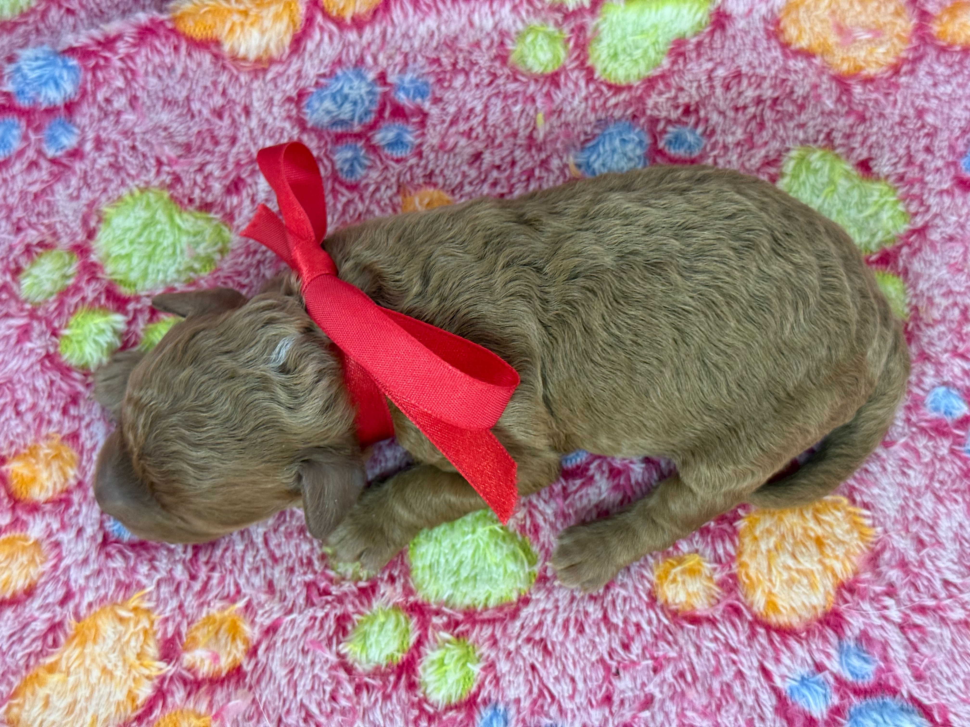 赤ちゃん写真1-3